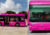Pink buses