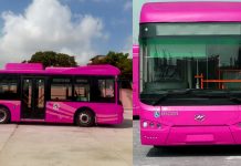 Pink buses