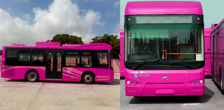 Pink buses